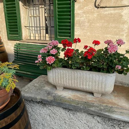 The Montevecchia Home - Frida Apartment Eksteriør bilde