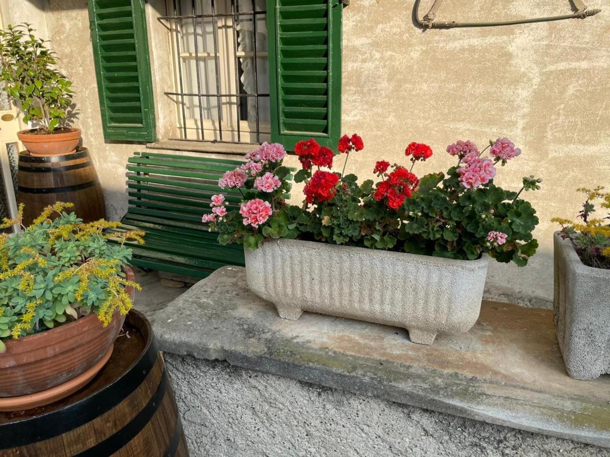 The Montevecchia Home - Frida Apartment Eksteriør bilde